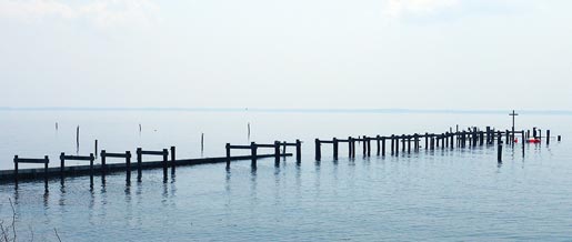 Help Rebuild the Don Lee Pier